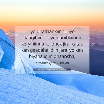 Picture 07 - Sharciga Kunoqoshadiisa 29:11 SOM - iyo dhallaankiinnii, iyo naagihiinnii, iyo - Bible Verse Picture