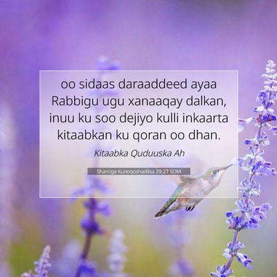 Picture 07 - Sharciga Kunoqoshadiisa 29:27 SOM - oo sidaas daraaddeed ayaa Rabbigu ugu xanaaqay - Bible Verse Picture