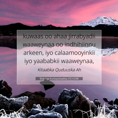 Picture 07 - Sharciga Kunoqoshadiisa 29:3 SOM - kuwaas oo ahaa jirrabyadii waaweynaa oo - Bible Verse Picture