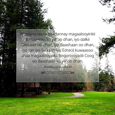 Picture 07 - Sharciga Kunoqoshadiisa 3:10 SOM - Waxaynu wada qaadannay magaalooyinkii bannaanka - Bible Verse Picture