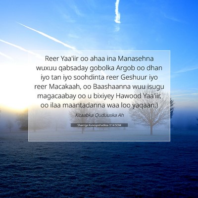Picture 07 - Sharciga Kunoqoshadiisa 3:14 SOM - Reer Yaa'iir oo ahaa ina Manasehna wuxuu qabsaday - Bible Verse Picture