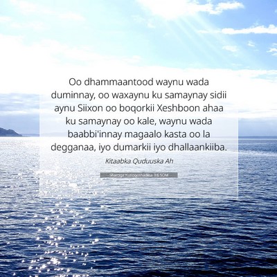 Picture 07 - Sharciga Kunoqoshadiisa 3:6 SOM - Oo dhammaantood waynu wada duminnay, oo waxaynu - Bible Verse Picture