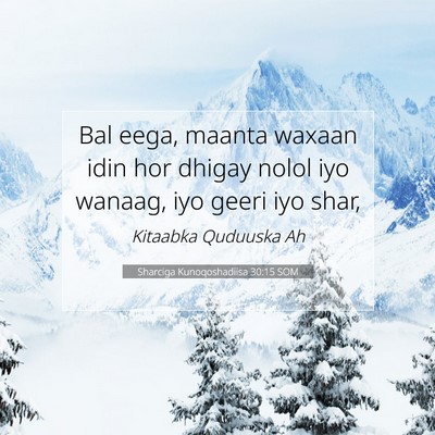 Picture 07 - Sharciga Kunoqoshadiisa 30:15 SOM - Bal eega, maanta waxaan idin hor dhigay nolol iyo - Bible Verse Picture