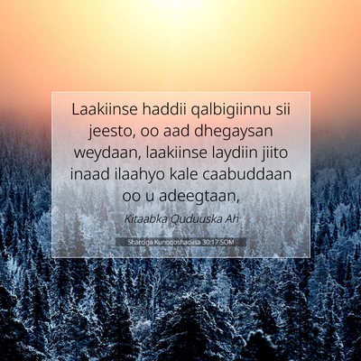 Picture 07 - Sharciga Kunoqoshadiisa 30:17 SOM - Laakiinse haddii qalbigiinnu sii jeesto, oo aad - Bible Verse Picture