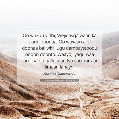 Picture 07 - Sharciga Kunoqoshadiisa 32:20 SOM - Oo wuxuu yidhi, Wejigayga waan ka qarin doonaa, - Bible Verse Picture