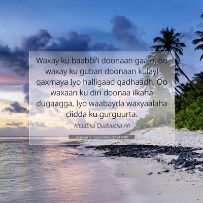 Picture 07 - Sharciga Kunoqoshadiisa 32:24 SOM - Waxay ku baabbi'i doonaan gaajo, oo waxay ku - Bible Verse Picture
