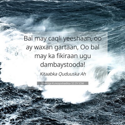 Picture 07 - Sharciga Kunoqoshadiisa 32:29 SOM - Bal may caqli yeeshaan, oo ay waxan gartaan, Oo - Bible Verse Picture