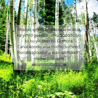 Picture 07 - Sharciga Kunoqoshadiisa 32:32 SOM - Waayo, geedcanabkoodu wuxuu ka yimid geedcanabkii - Bible Verse Picture