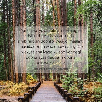 Picture 07 - Sharciga Kunoqoshadiisa 32:35 SOM - Aarsasho iyo abaalmarinba anigaa iska leh, Markay - Bible Verse Picture