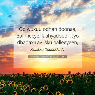 Picture 07 - Sharciga Kunoqoshadiisa 32:37 SOM - Oo wuxuu odhan doonaa, Bal meeye ilaahyadoodii, - Bible Verse Picture