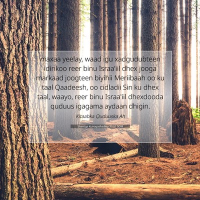 Picture 07 - Sharciga Kunoqoshadiisa 32:51 SOM - maxaa yeelay, waad igu xadgudubteen idinkoo reer - Bible Verse Picture