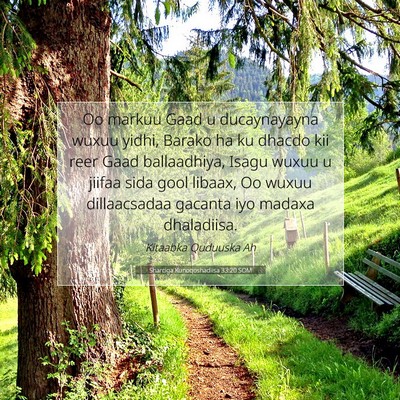 Picture 07 - Sharciga Kunoqoshadiisa 33:20 SOM - Oo markuu Gaad u ducaynayayna wuxuu yidhi, Barako - Bible Verse Picture
