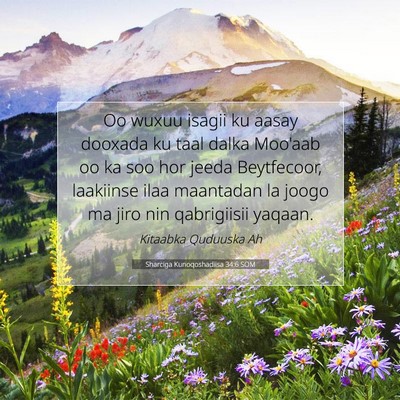 Picture 07 - Sharciga Kunoqoshadiisa 34:6 SOM - Oo wuxuu isagii ku aasay dooxada ku taal dalka - Bible Verse Picture
