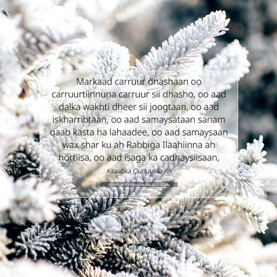 Picture 07 - Sharciga Kunoqoshadiisa 4:25 SOM - Markaad carruur dhashaan oo carruurtiinnuna - Bible Verse Picture