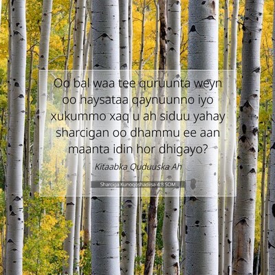 Picture 07 - Sharciga Kunoqoshadiisa 4:8 SOM - Oo bal waa tee quruunta weyn oo haysataa - Bible Verse Picture
