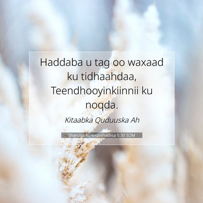 Picture 07 - Sharciga Kunoqoshadiisa 5:30 SOM - Haddaba u tag oo waxaad ku tidhaahdaa, - Bible Verse Picture