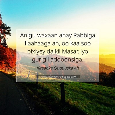 Picture 07 - Sharciga Kunoqoshadiisa 5:6 SOM - Anigu waxaan ahay Rabbiga Ilaahaaga ah, oo kaa - Bible Verse Picture