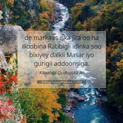 Picture 07 - Sharciga Kunoqoshadiisa 6:12 SOM - de markaas iska jira oo ha illoobina Rabbigii - Bible Verse Picture