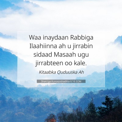 Picture 07 - Sharciga Kunoqoshadiisa 6:16 SOM - Waa inaydaan Rabbiga Ilaahiinna ah u jirrabin - Bible Verse Picture