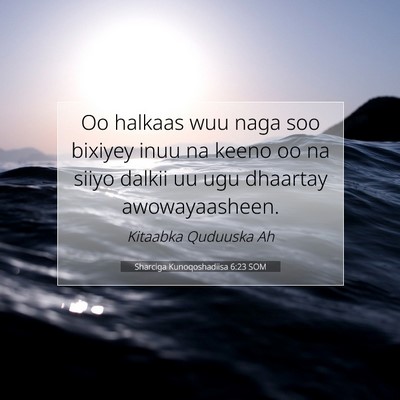 Picture 07 - Sharciga Kunoqoshadiisa 6:23 SOM - Oo halkaas wuu naga soo bixiyey inuu na keeno oo - Bible Verse Picture