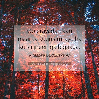 Picture 07 - Sharciga Kunoqoshadiisa 6:6 SOM - Oo erayadan aan maanta kugu amrayo ha ku sii - Bible Verse Picture