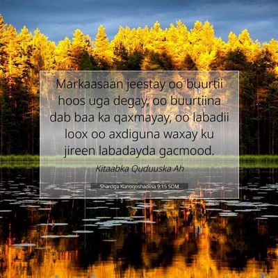 Picture 07 - Sharciga Kunoqoshadiisa 9:15 SOM - Markaasaan jeestay oo buurtii hoos uga degay, oo - Bible Verse Picture