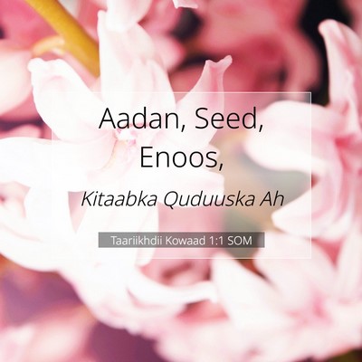 Picture 07 - Taariikhdii Kowaad 1:1 SOM - Aadan, Seed, - Bible Verse Picture