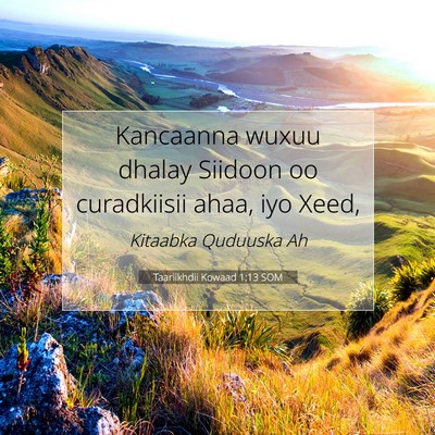 Picture 07 - Taariikhdii Kowaad 1:13 SOM - Kancaanna wuxuu dhalay Siidoon oo curadkiisii - Bible Verse Picture