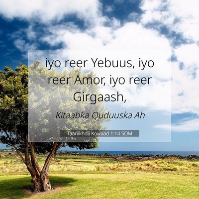 Picture 07 - Taariikhdii Kowaad 1:14 SOM - iyo reer Yebuus, iyo reer Amor, iyo reer - Bible Verse Picture