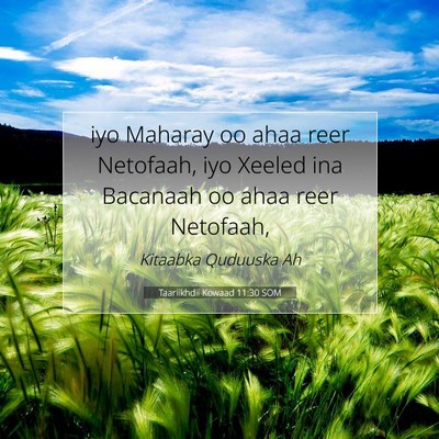 Picture 07 - Taariikhdii Kowaad 11:30 SOM - iyo Maharay oo ahaa reer Netofaah, iyo Xeeled ina - Bible Verse Picture