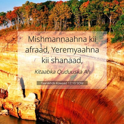 Picture 07 - Taariikhdii Kowaad 12:10 SOM - Mishmannaahna kii afraad, Yeremyaahna kii - Bible Verse Picture