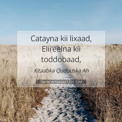 Picture 07 - Taariikhdii Kowaad 12:11 SOM - Catayna kii lixaad, Elii'eelna kii - Bible Verse Picture