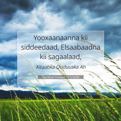 Picture 07 - Taariikhdii Kowaad 12:12 SOM - Yooxaanaanna kii siddeedaad, Elsaabaadna kii - Bible Verse Picture