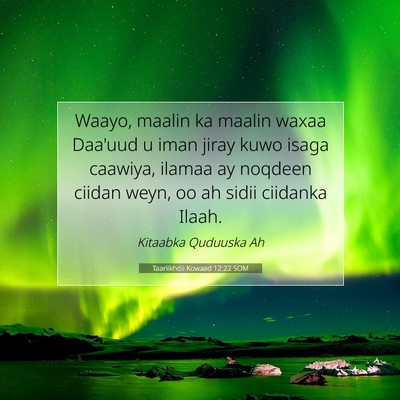 Picture 07 - Taariikhdii Kowaad 12:22 SOM - Waayo, maalin ka maalin waxaa Daa'uud u iman - Bible Verse Picture