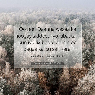 Picture 07 - Taariikhdii Kowaad 12:35 SOM - Oo reer Daanna waxaa ka joogay siddeed iyo - Bible Verse Picture