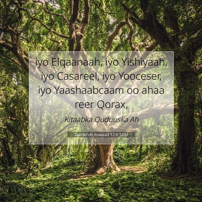 Picture 07 - Taariikhdii Kowaad 12:6 SOM - iyo Elqaanaah, iyo Yishiyaah, iyo Casareel, iyo - Bible Verse Picture