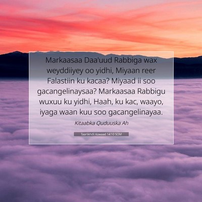 Picture 07 - Taariikhdii Kowaad 14:10 SOM - Markaasaa Daa'uud Rabbiga wax weyddiiyey oo - Bible Verse Picture
