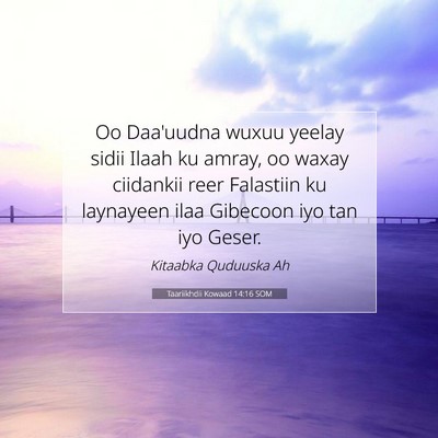 Picture 07 - Taariikhdii Kowaad 14:16 SOM - Oo Daa'uudna wuxuu yeelay sidii Ilaah ku amray, - Bible Verse Picture