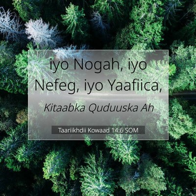 Picture 07 - Taariikhdii Kowaad 14:6 SOM - iyo Nogah, iyo Nefeg, iyo - Bible Verse Picture