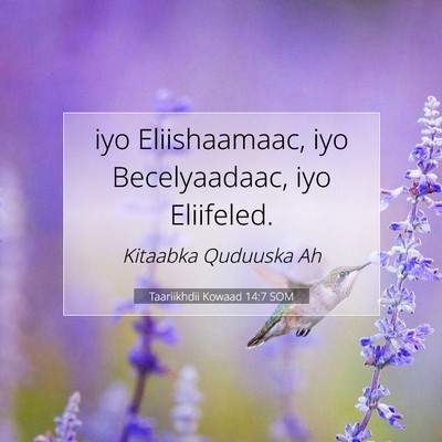 Picture 07 - Taariikhdii Kowaad 14:7 SOM - iyo Eliishaamaac, iyo Becelyaadaac, iyo - Bible Verse Picture