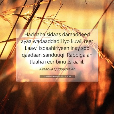 Picture 07 - Taariikhdii Kowaad 15:14 SOM - Haddaba sidaas daraaddeed ayaa wadaaddadii iyo - Bible Verse Picture