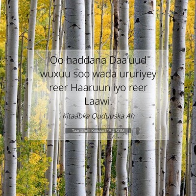Picture 07 - Taariikhdii Kowaad 15:4 SOM - Oo haddana Daa'uud wuxuu soo wada ururiyey reer - Bible Verse Picture