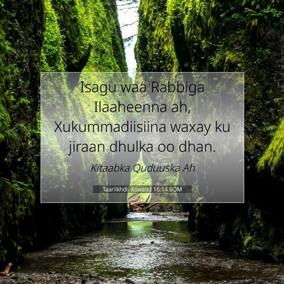 Picture 07 - Taariikhdii Kowaad 16:14 SOM - Isagu waa Rabbiga Ilaaheenna ah, Xukummadiisiina - Bible Verse Picture