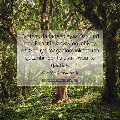 Picture 07 - Taariikhdii Kowaad 18:1 SOM - Oo taas dabadeed ayaa Daa'uud reer Falastiin - Bible Verse Picture