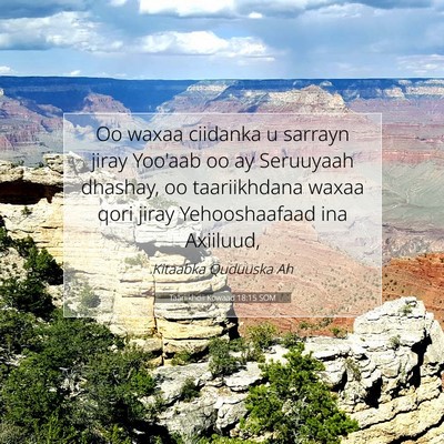 Picture 07 - Taariikhdii Kowaad 18:15 SOM - Oo waxaa ciidanka u sarrayn jiray Yoo'aab oo ay - Bible Verse Picture