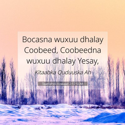 Picture 07 - Taariikhdii Kowaad 2:12 SOM - Bocasna wuxuu dhalay Coobeed, Coobeedna wuxuu - Bible Verse Picture
