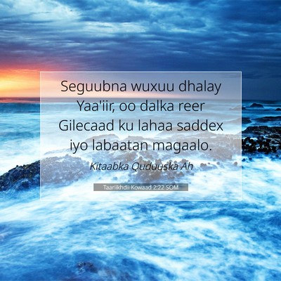 Picture 07 - Taariikhdii Kowaad 2:22 SOM - Seguubna wuxuu dhalay Yaa'iir, oo dalka reer - Bible Verse Picture