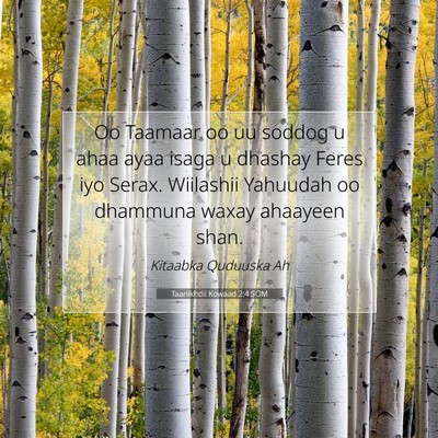 Picture 07 - Taariikhdii Kowaad 2:4 SOM - Oo Taamaar oo uu soddog u ahaa ayaa isaga u - Bible Verse Picture