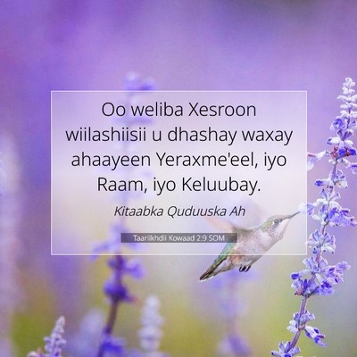 Picture 07 - Taariikhdii Kowaad 2:9 SOM - Oo weliba Xesroon wiilashiisii u dhashay waxay - Bible Verse Picture