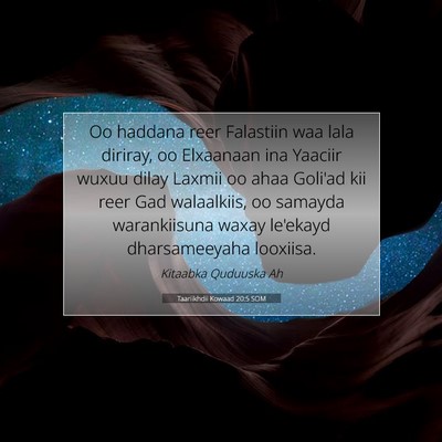 Picture 07 - Taariikhdii Kowaad 20:5 SOM - Oo haddana reer Falastiin waa lala diriray, oo - Bible Verse Picture